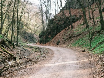 Free photo by Danka & Peter